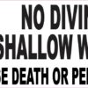 No Diving Shallow Water Magnet
