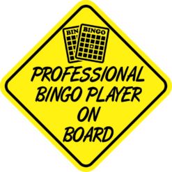 Professional Bingo Player On Board Magnet