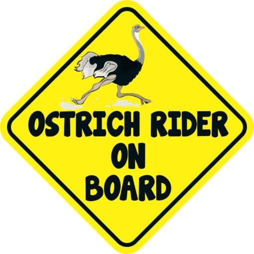 Ostrich Rider On Board Magnet