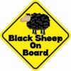 Black Sheep On Board Magnet