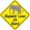 Elephant Lover On Board Magnet
