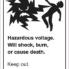 Danger Hazardous Voltage Sticker