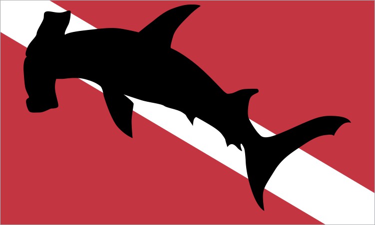 Diver Down Flag Magnet