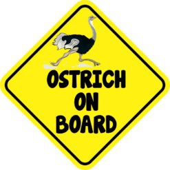 Ostrich On Board Magnet