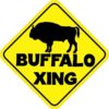 Buffalo Crossing Magnet