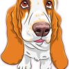 Basset Hound Sticker