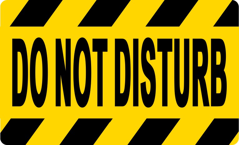 Do Not Disturb Magnet