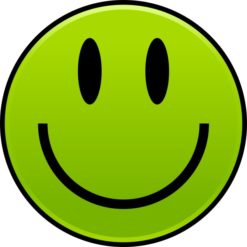 Green Happy Face Sticker
