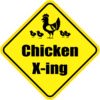 Chicken Crossing Magnet