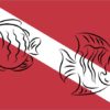 Diver Down Flag Magnet
