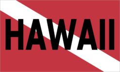 Diver Down Flag Magnet