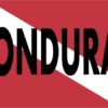 Diver Down Flag Sticker