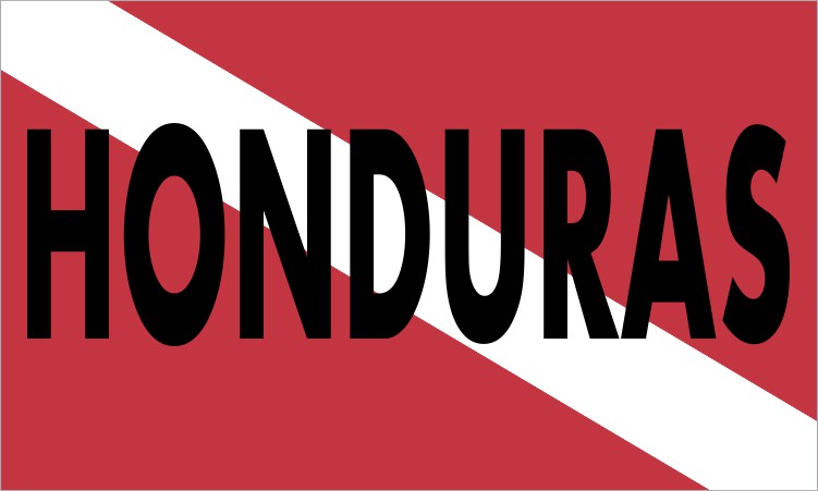 Diver Down Flag Magnet
