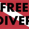Diver Down Flag Sticker