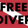Diver Down Flag Magnet
