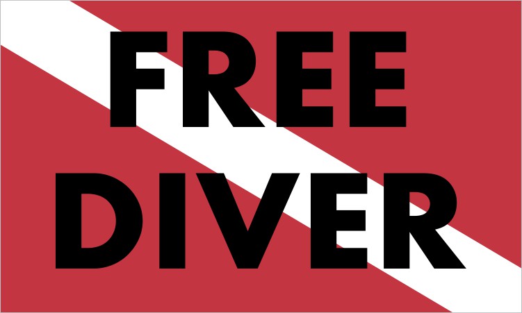 Diver Down Flag Magnet