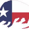 Texas Flag Armadillo Sticker