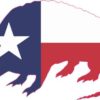 Texas Flag Armadillo Sticker