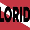 Florida Dive Flag Magnet