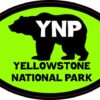 Green Bear Oval Yellowstone National Park Sticker