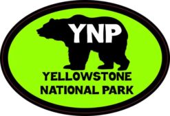 Green Bear Oval Yellowstone National Park Sticker