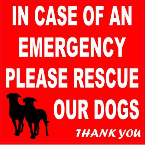 Please Rescue Our Dogs Sticker