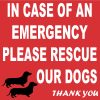 4in x 4in Dachshund Please Rescue Our Dogs Magnet