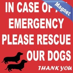 Alternative view of 4in x 4in Dachshund Please Rescue Our Dogs Magnet