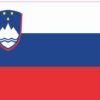 Slovenia Flag Magnet