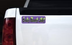 Crazy Bunny Lady Magnet