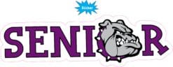 10in x 3in Purple Bulldog Senior Sticker