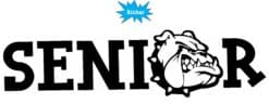 10in x 3in Bulldog Senior Sticker