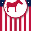 Democrat Flag Banner Magnet