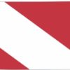 Tennessee Diver Down Flag