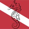 Diver Down Flag Sticker