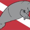 Manatee Diver Down Flag Sticker
