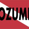 Cozumel Scuba Diver Down Flag Magnet