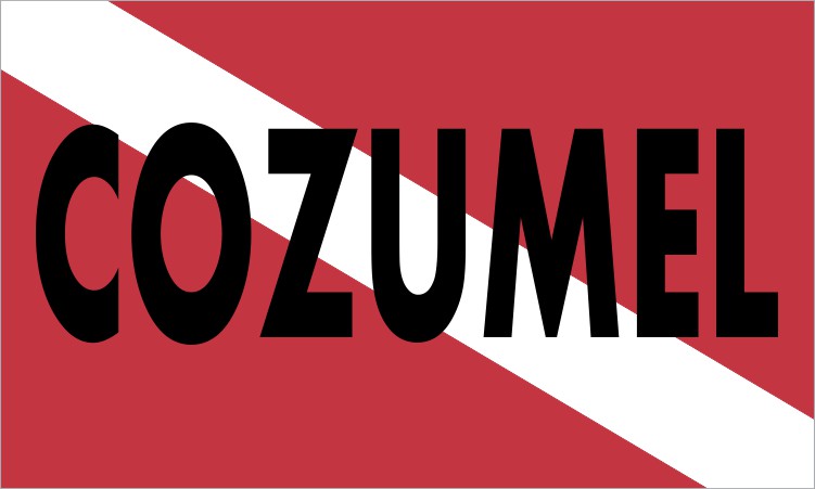 Cozumel Scuba Diver Down Flag Magnet