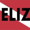 Belize Scuba Diver Down Flag Sticker