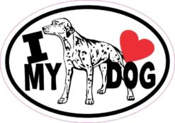 Dalmatian Oval I Love My Dog Sticker