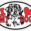 Bernese Mountain Dog Oval I Love My Dog Sticker