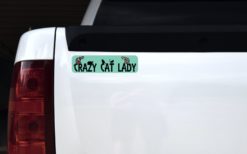 Green Crazy Cat Lady Magnet