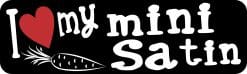 10in x 3in I Love My Mini Satin Magnet