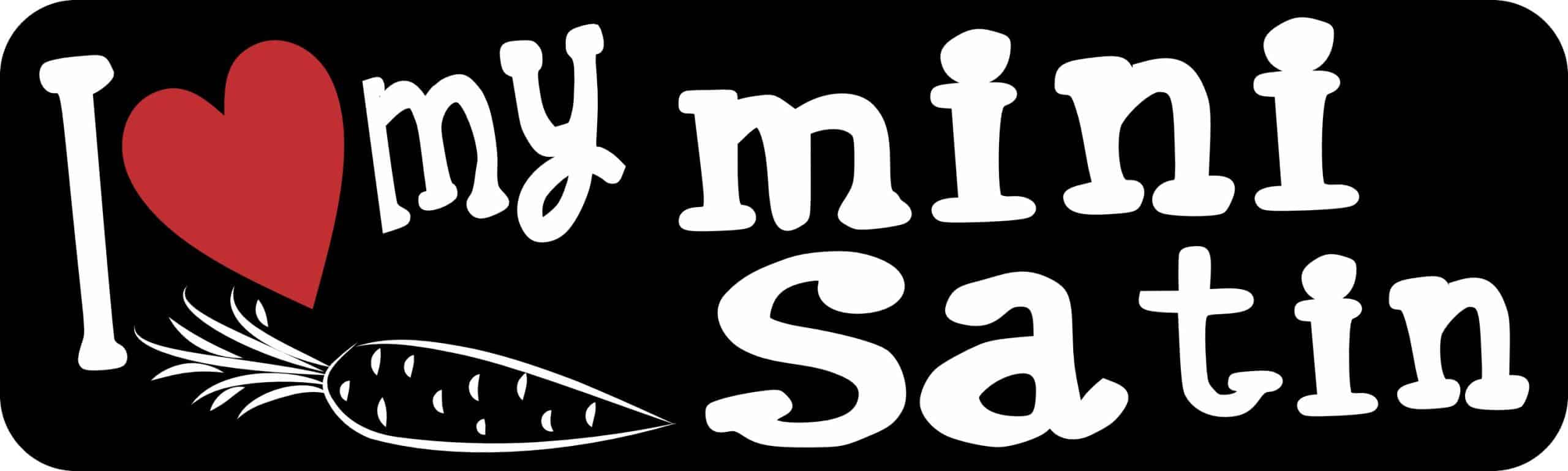 10in x 3in I Love My Mini Satin Magnet
