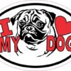 Pug Oval I Love My Dog Sticker