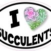 Oval I Love Succulents Sticker