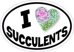 Oval I Love Succulents Sticker