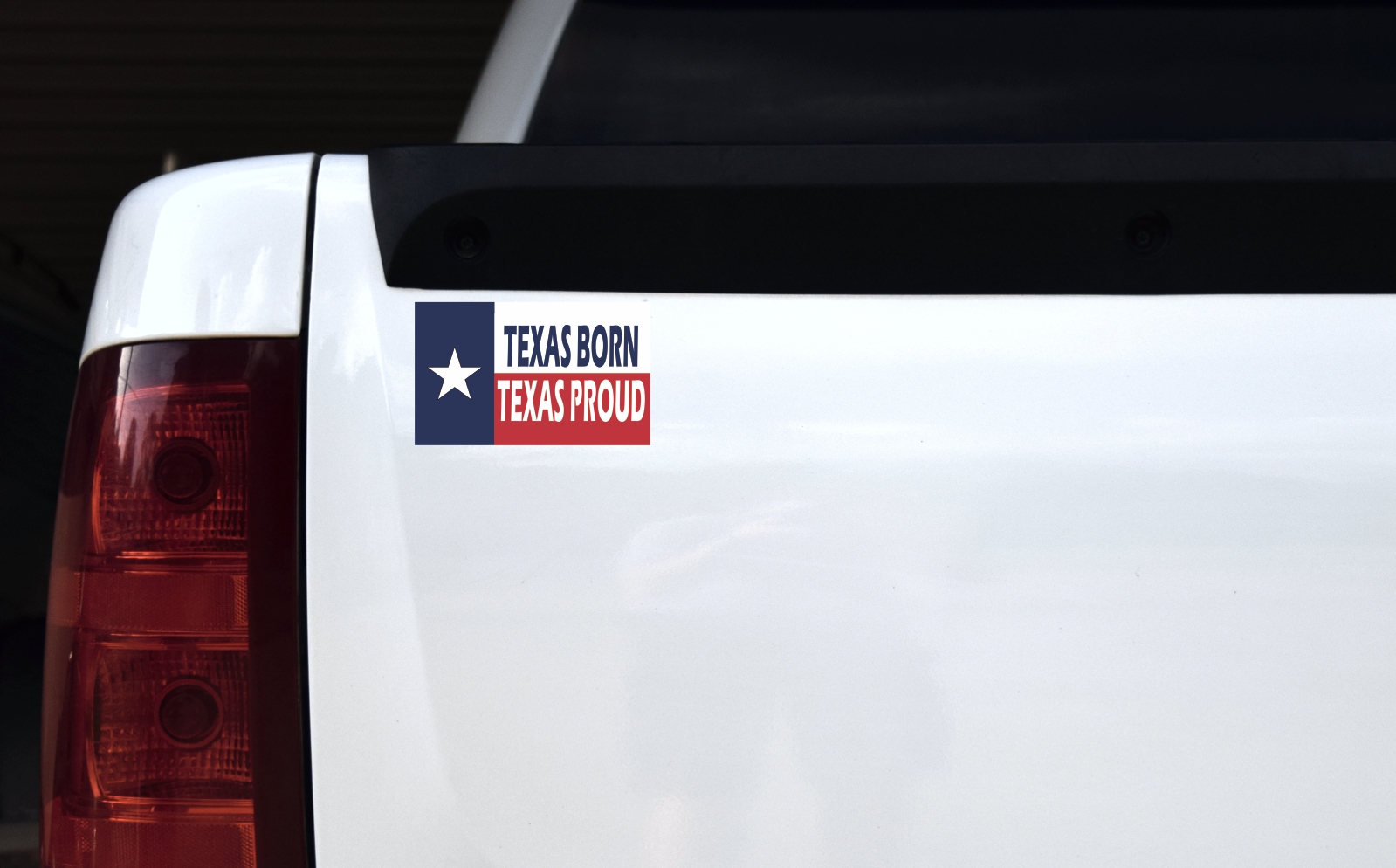 Texas Born Texas Proud Magnet