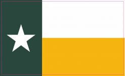 Green and Gold Texas Flag Magnet