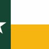 5in x 3in Green and Gold Texas Flag Magnet